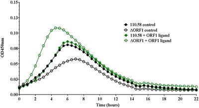 Peptide Occurring in Enterobacteriaceae Triggers Streptococcus pneumoniae Cell Death